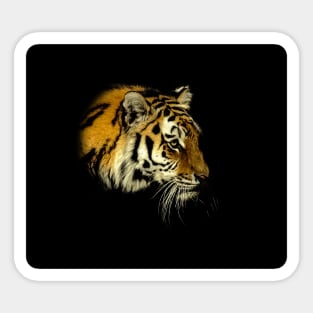 Tiger portrait Sticker